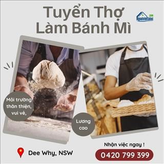 Cần tuyển thợ làm bánh mì lương cao vùng Dee Why, NSW